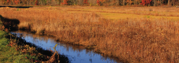 Cranberries and Pennsylvanians [video]